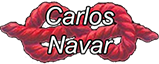 Il blog di Carlos Navar
